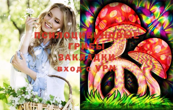 гашик Баксан