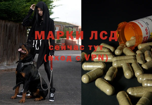 крисы Нефтегорск