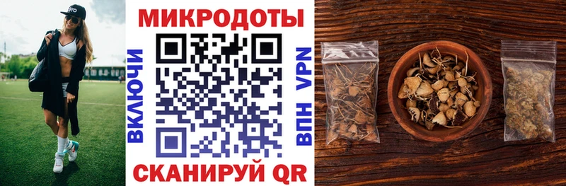 Галлюциногенные грибы Psilocybe  ссылка на мегу зеркало  Шилка 